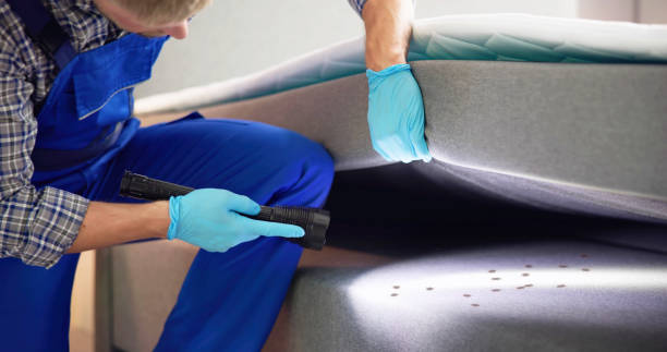 Best Local Pest Control Services  in Shrewsbury, PA