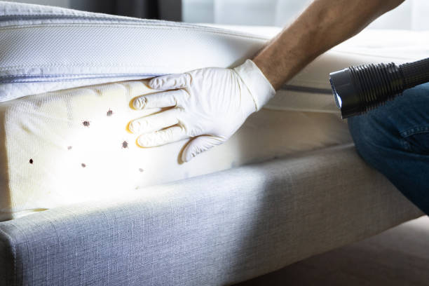 Best Affordable Pest Control Services  in Shrewsbury, PA