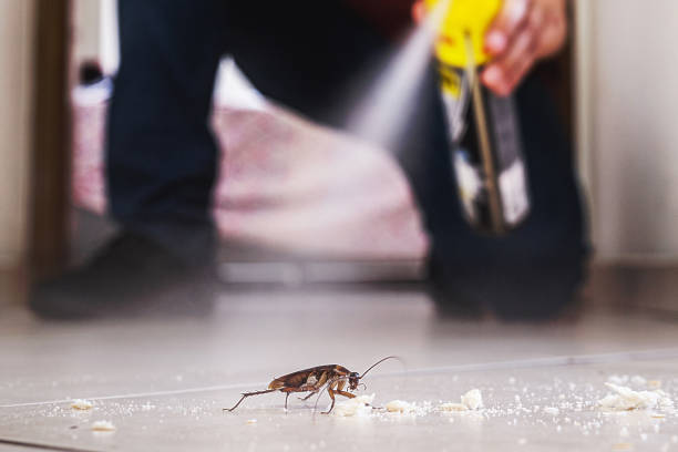 Best Wasp Removal Services  in Shrewsbury, PA