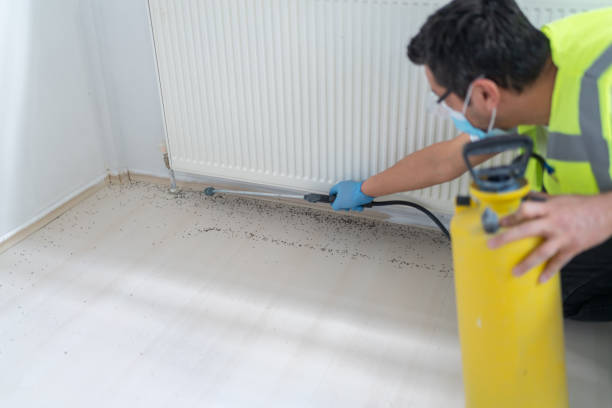 Best Best Pest Control Companies  in Shrewsbury, PA